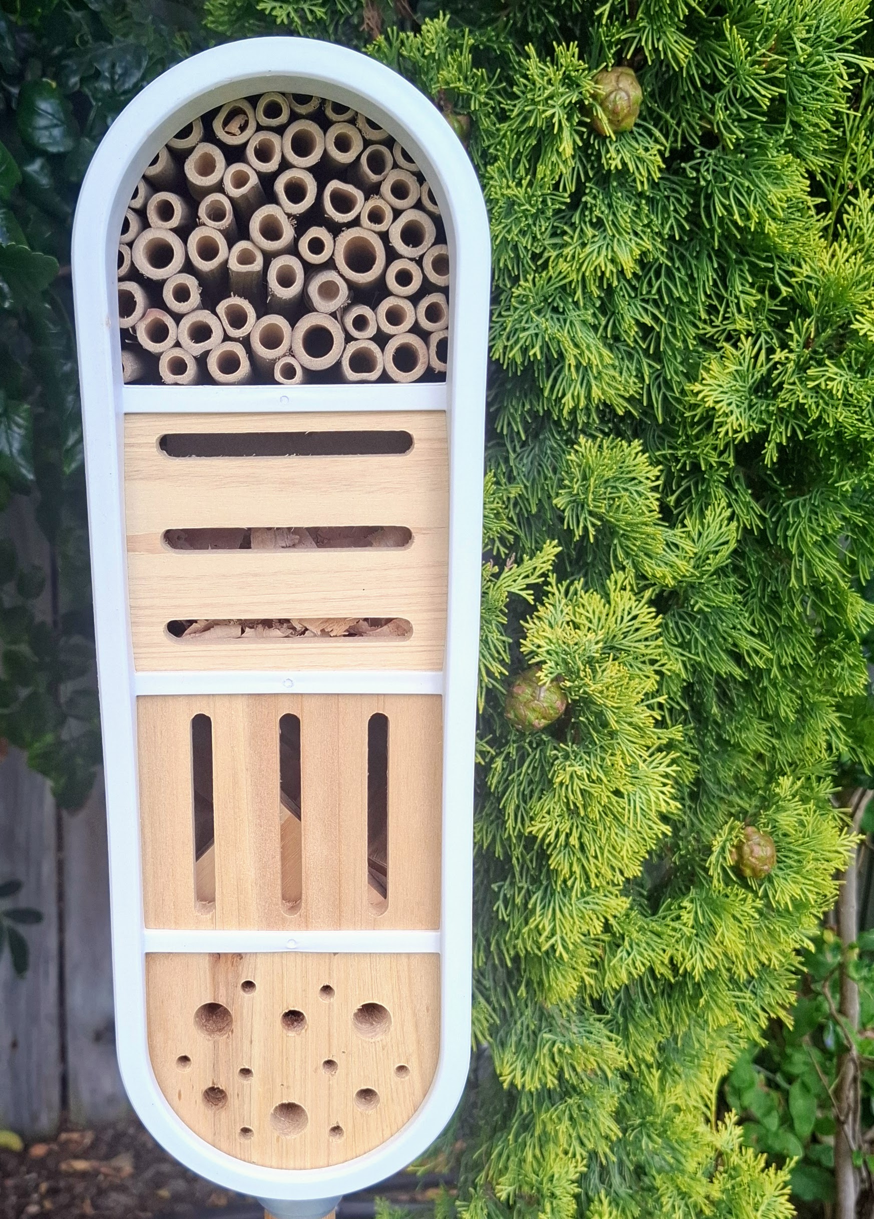 The Insect Hotel — a handcrafted sanctuary