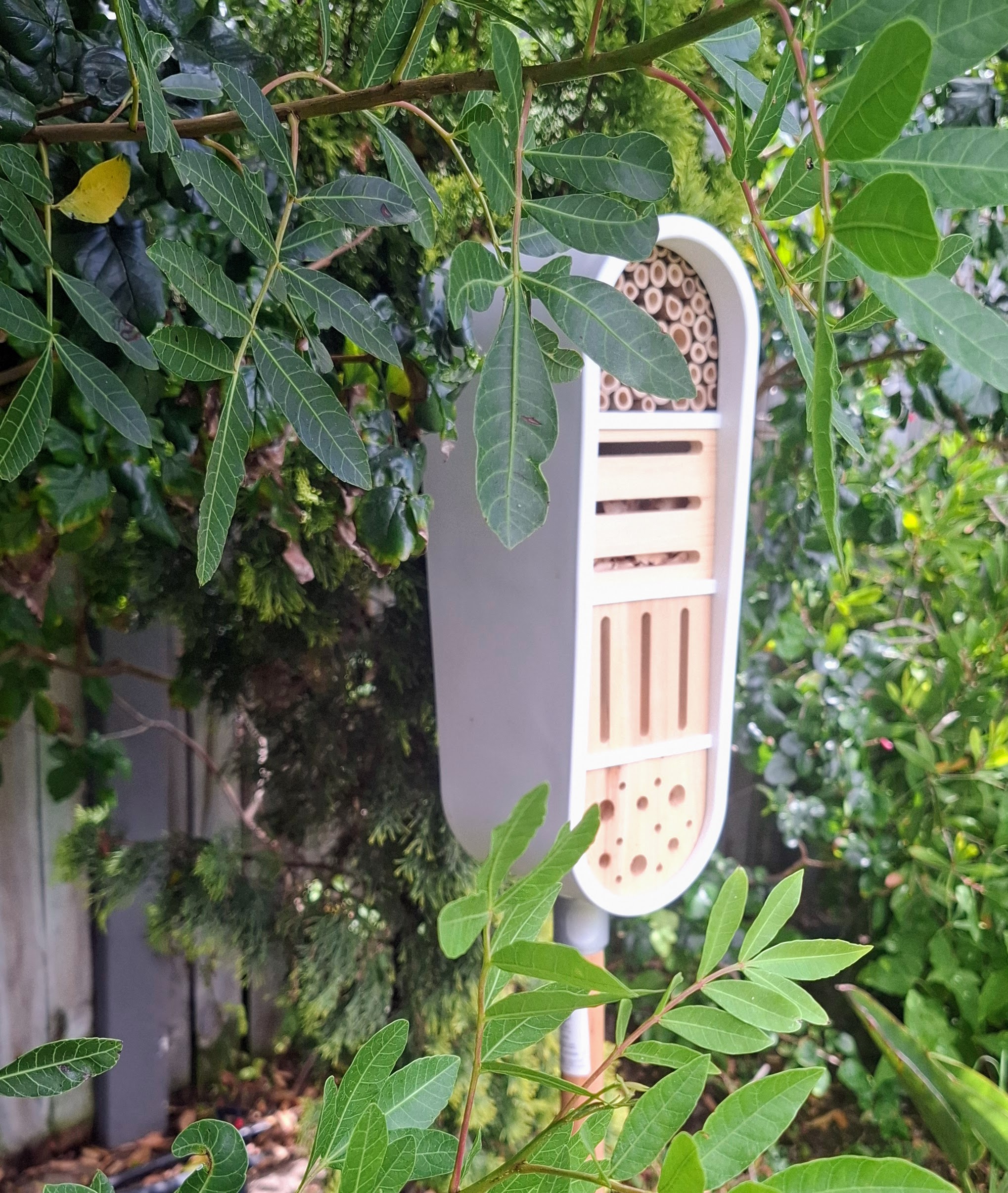 The hotel nestled among the foliage