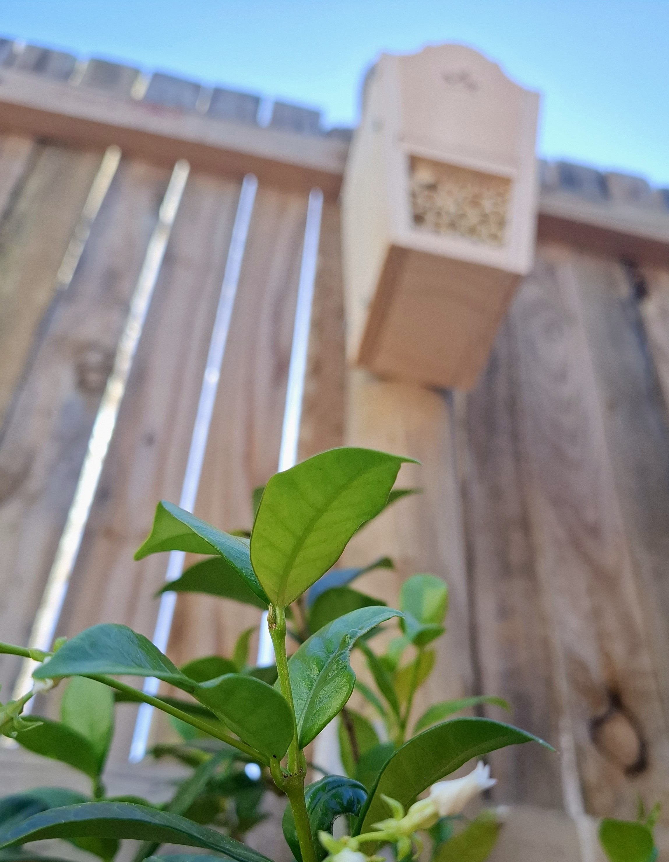 The completed Bug House, mounted on its fence post and ready for check-ins