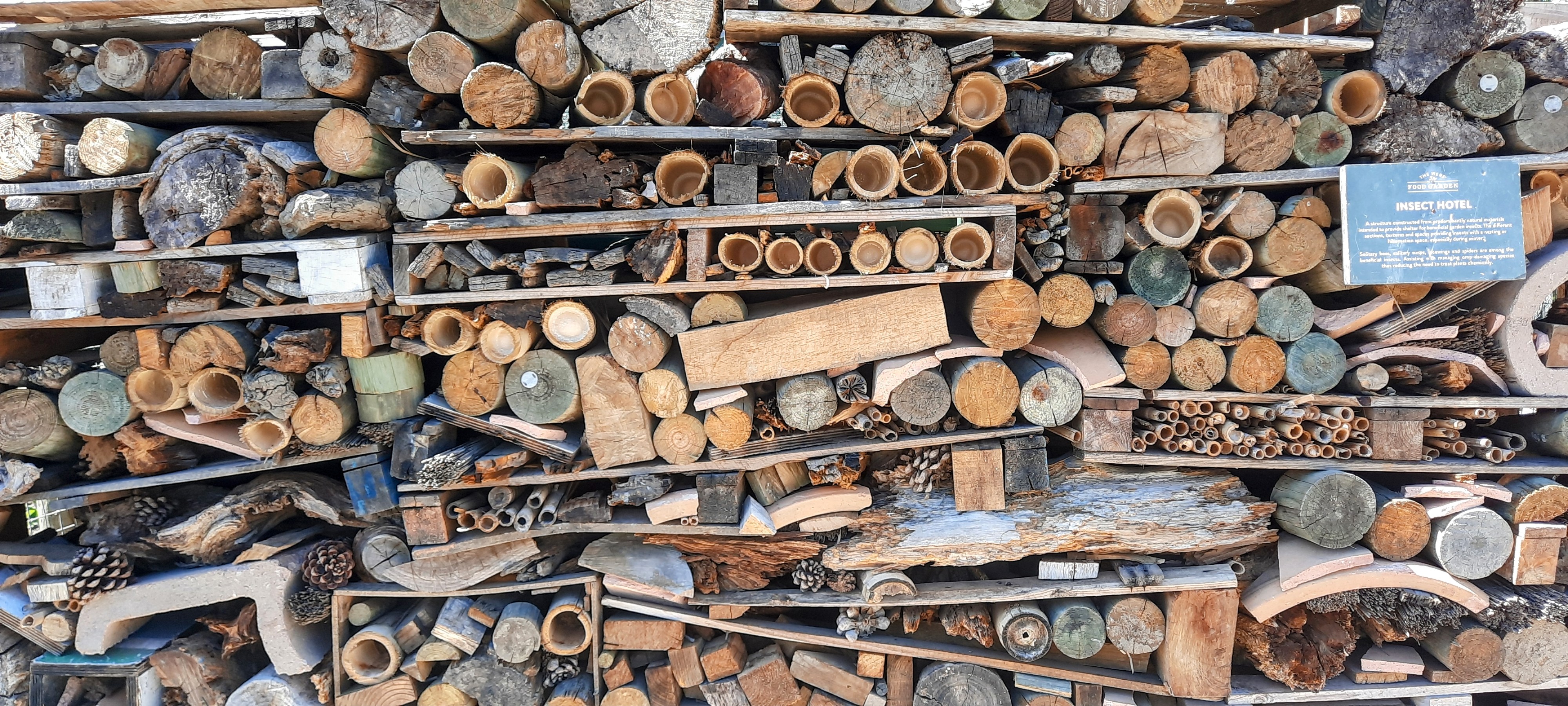 The insect hotel at Boschendal Wine Estate: logs, bamboo, bark, and pine cones packed into a sprawling structure